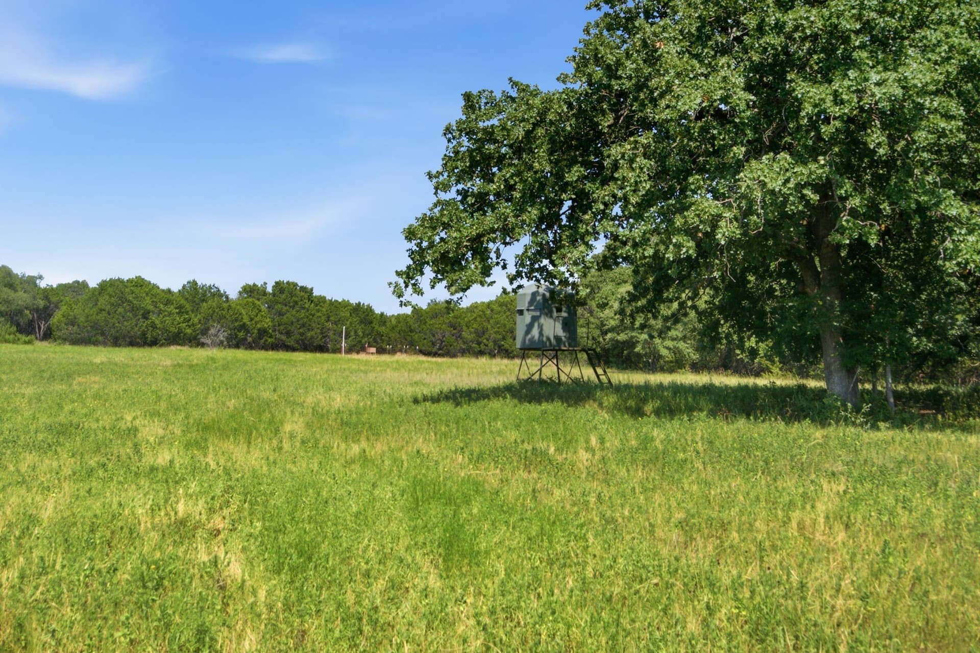 45 acres in Bosque County - photo 23