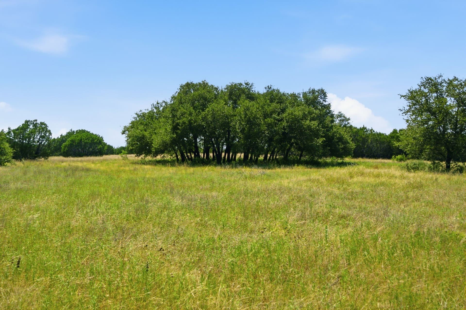 45 acres in Bosque County featured view