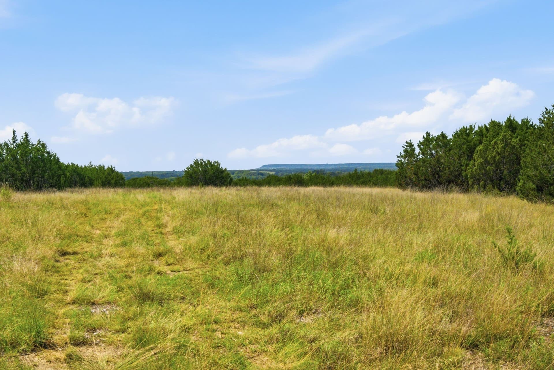 45 acres in Bosque County - photo 6