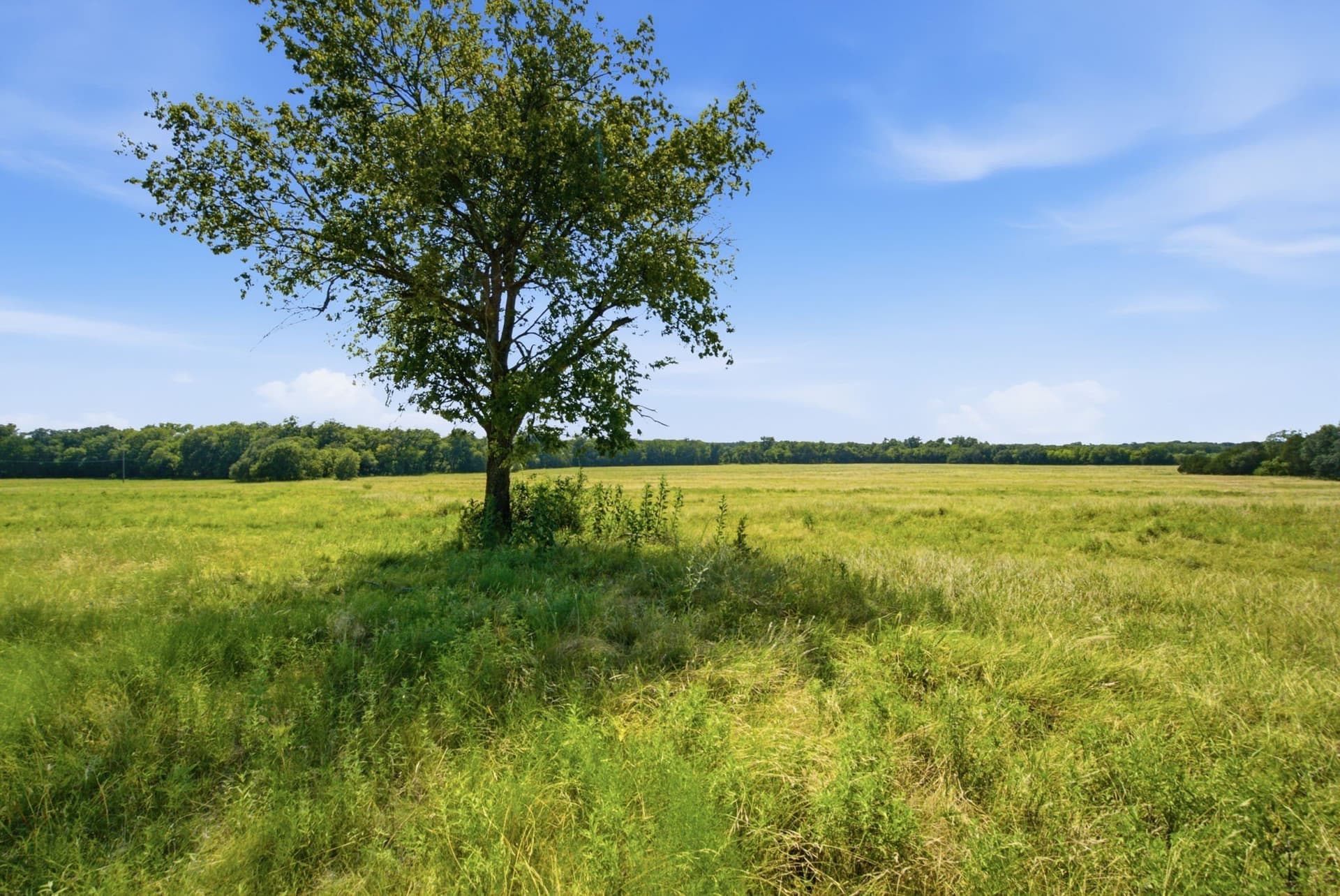 45 acres in Bosque County - photo 12