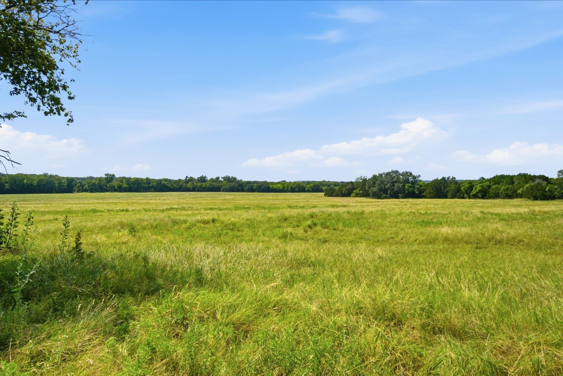 45 acres in Bosque County - photo 11