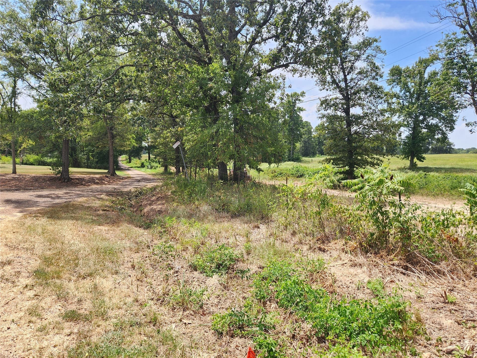 4.37 acres in Titus County - photo 2