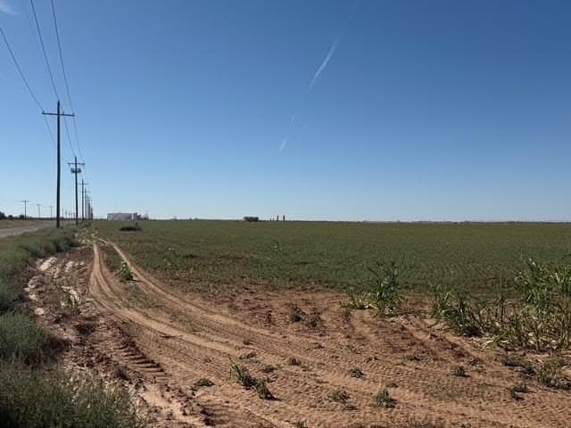 50 acres in Howard County - photo 4