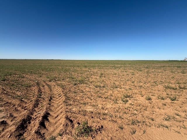 50 acres in Howard County - photo 17