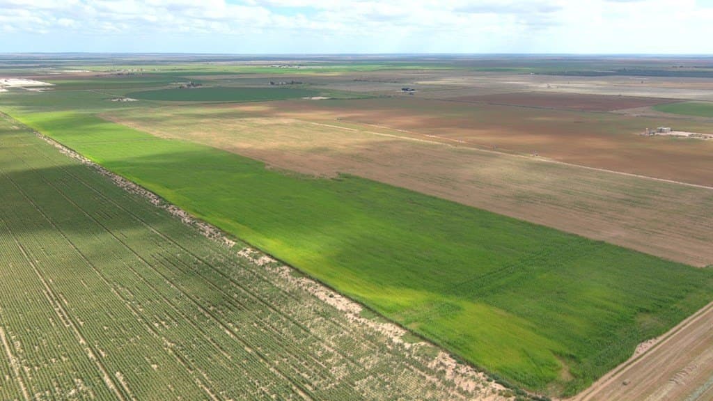 50 acres in Howard County - photo 22