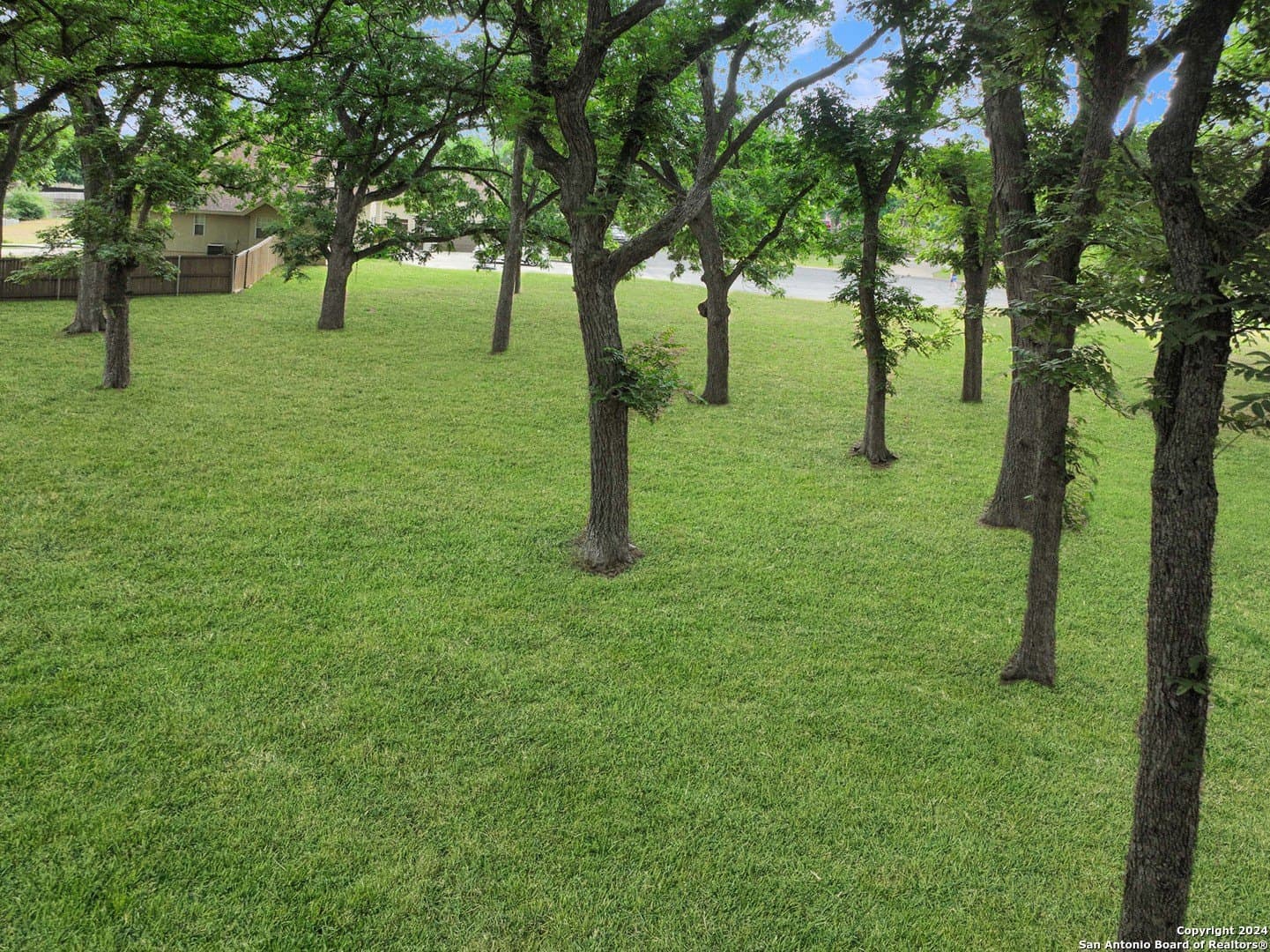 0.52 acres in Guadalupe County featured view