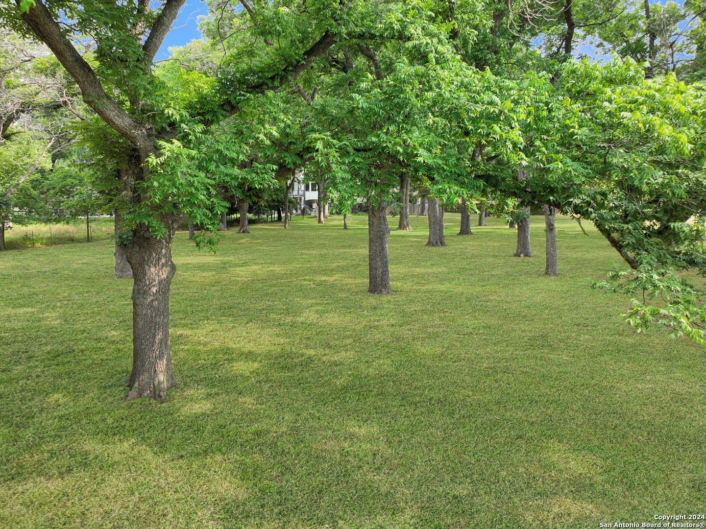 0.52 acres in Guadalupe County - photo 8