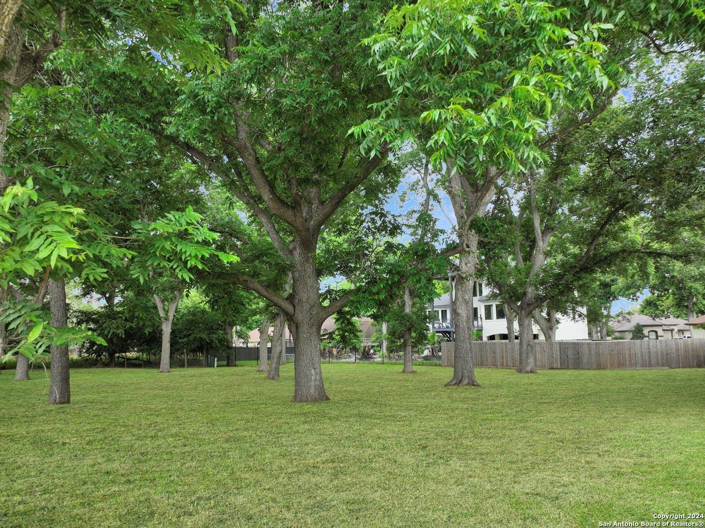 0.52 acres in Guadalupe County - photo 9