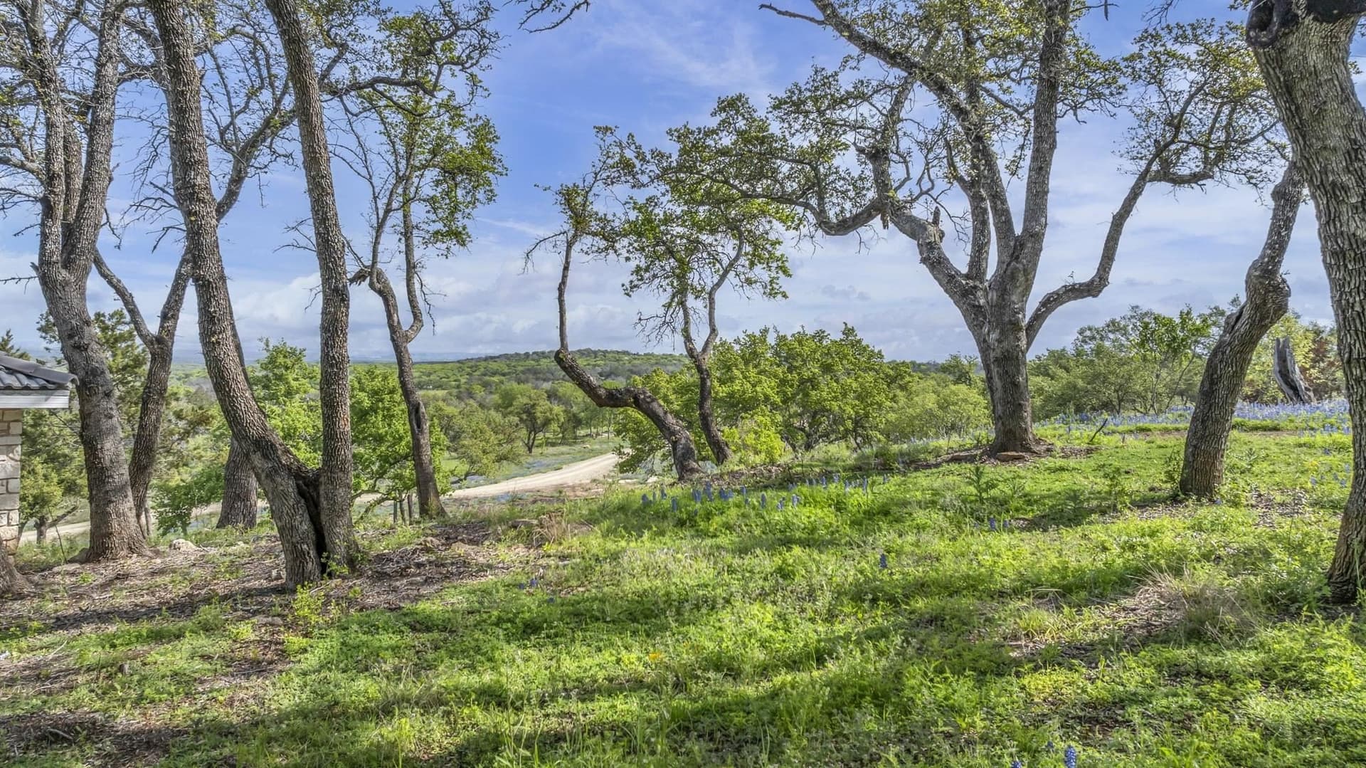 15.04 acres in Blanco County - photo 6