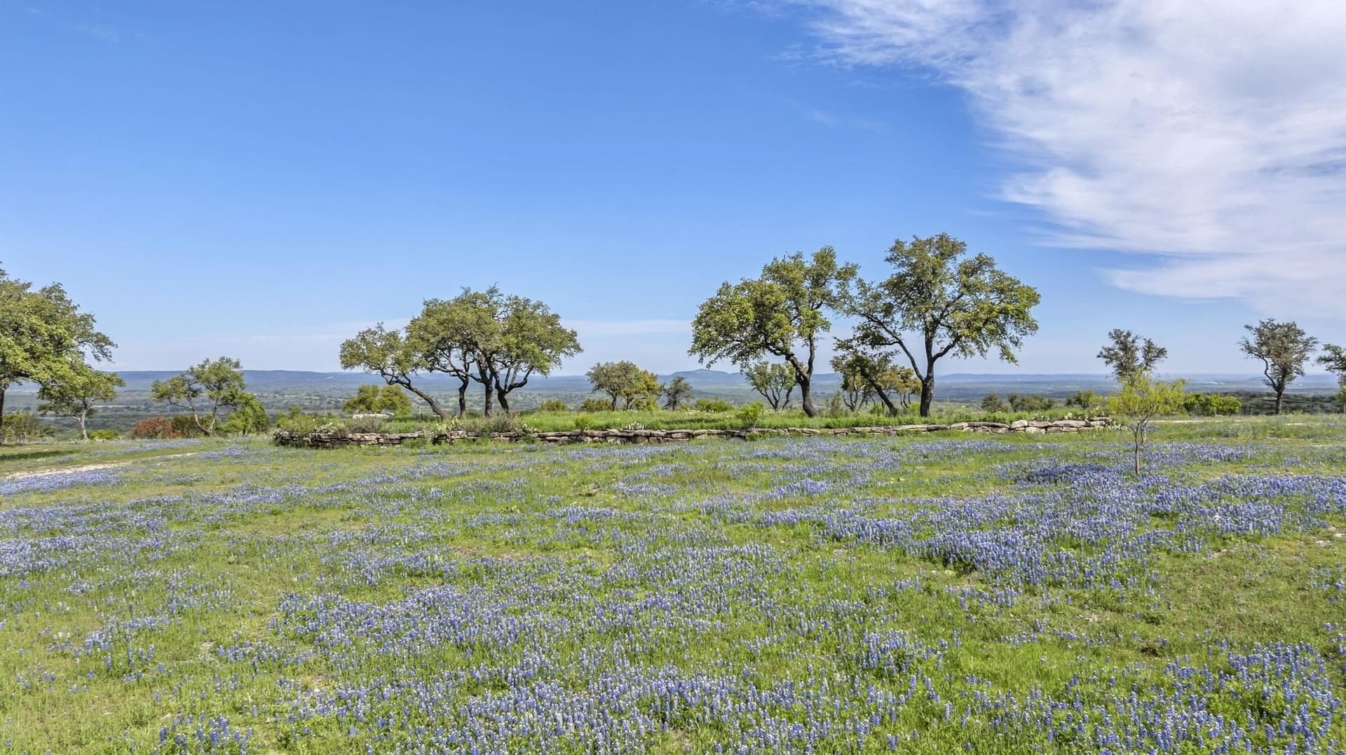 15.04 acres in Blanco County - photo 4