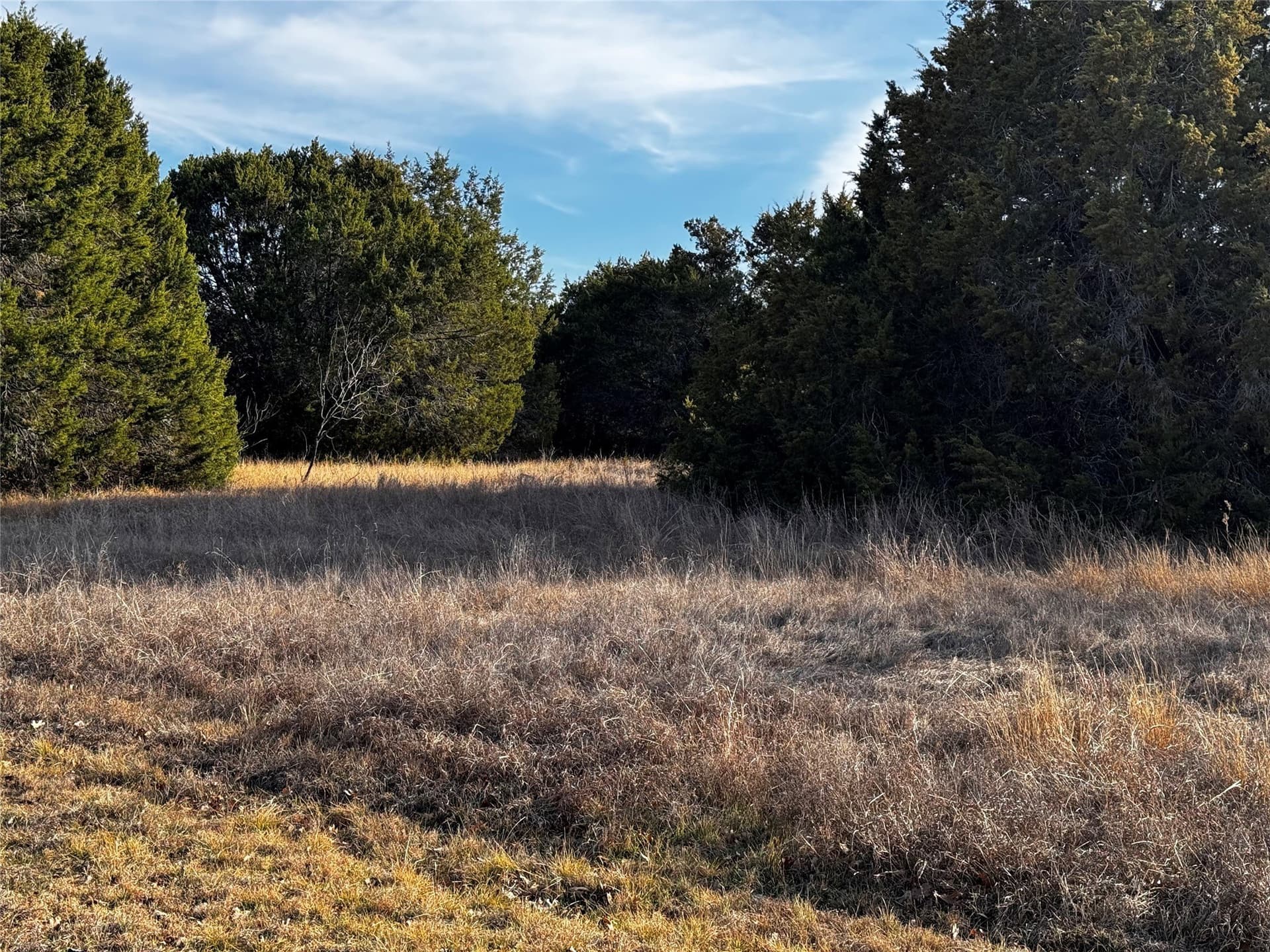0.28 acres in Hill County - photo 4