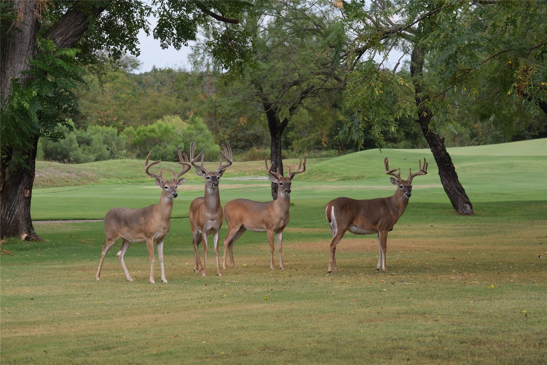 0.28 acres in Hill County - photo 8