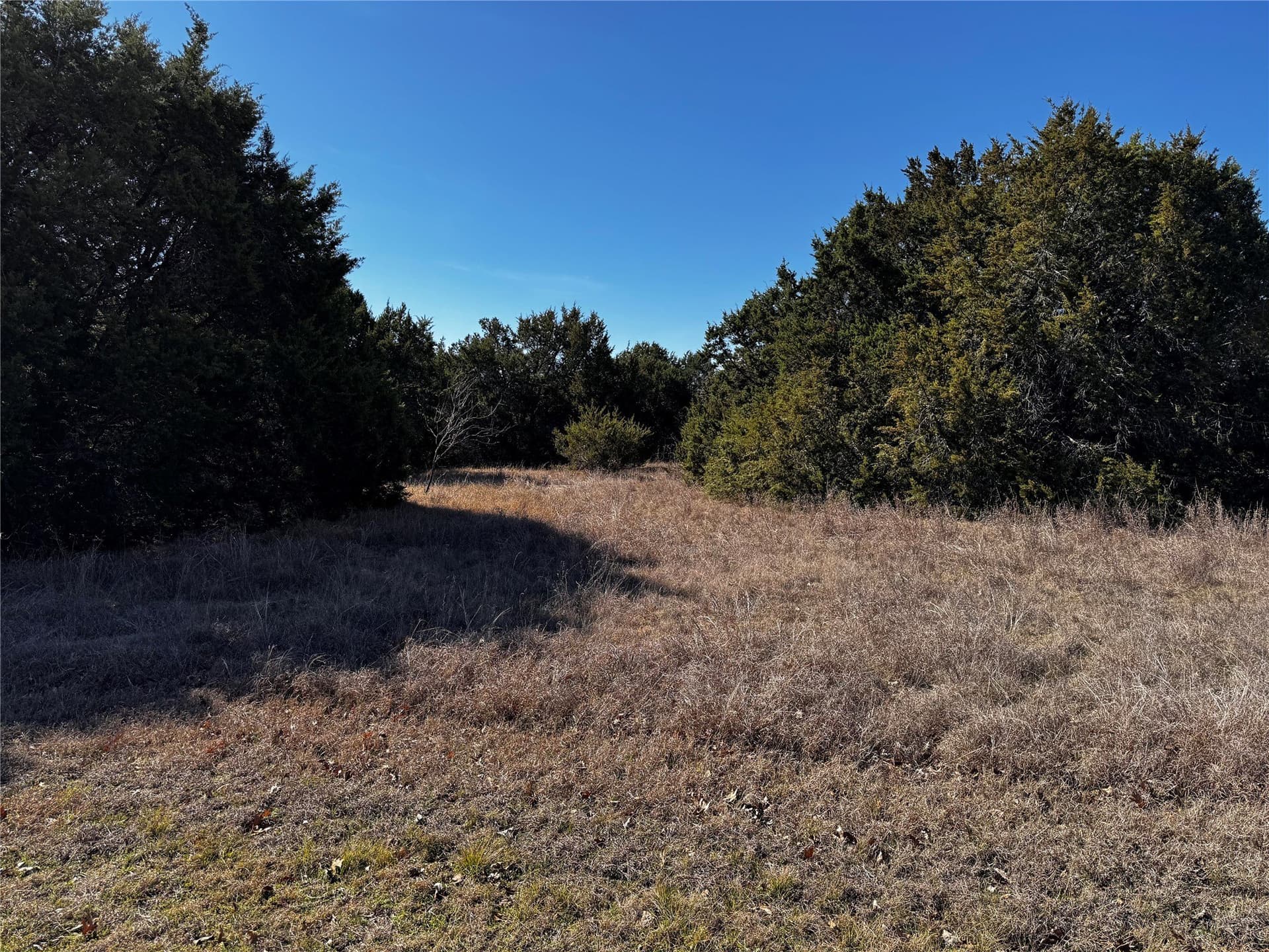 0.28 acres in Hill County - photo 3