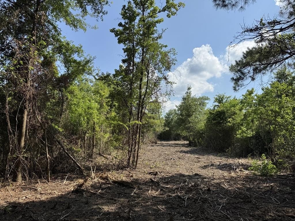 12 acres in Texas County gallery image 4