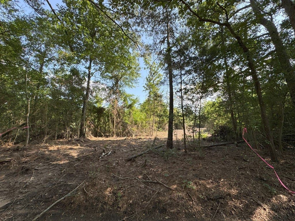 12 acres in Texas County gallery image 3