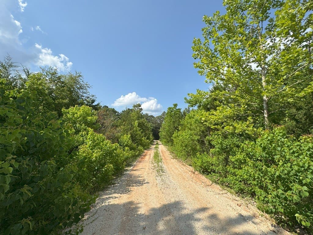 12 acres in Texas County - photo 6