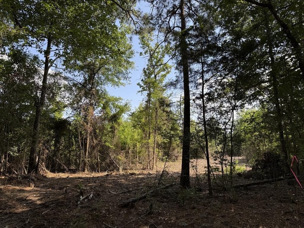 12 acres in Texas County featured view