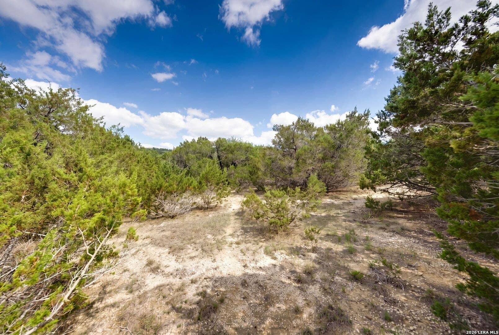 5 acres in Blanco County - photo 23