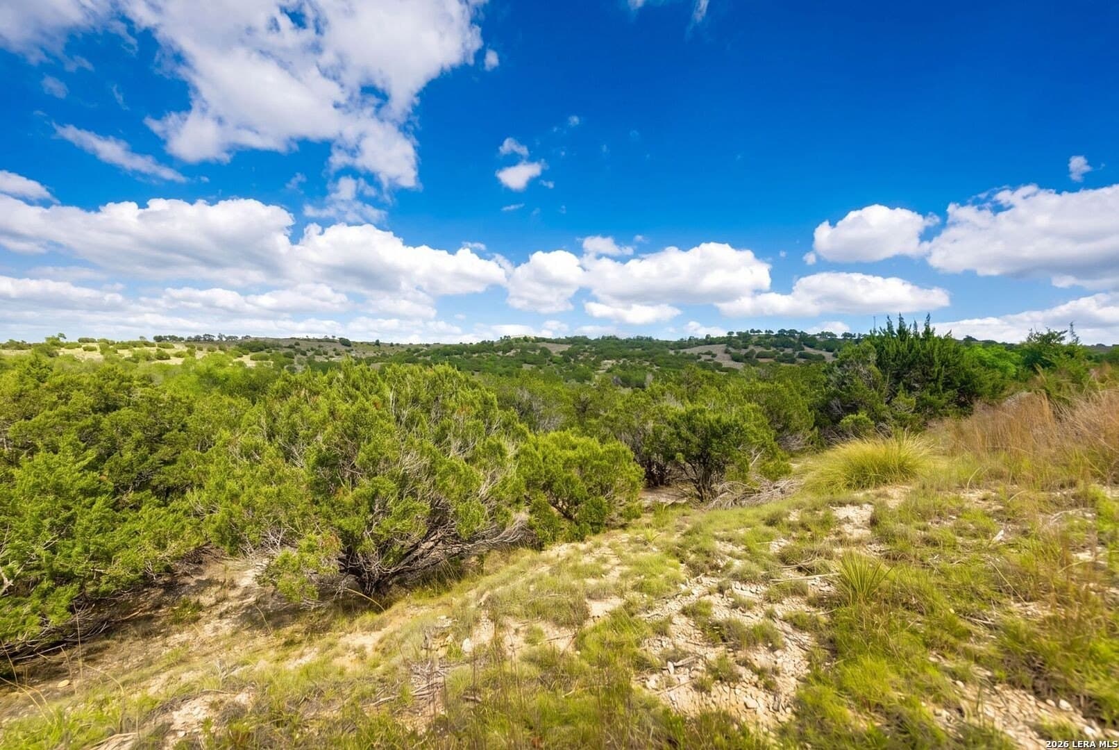 5 acres in Blanco County - photo 14