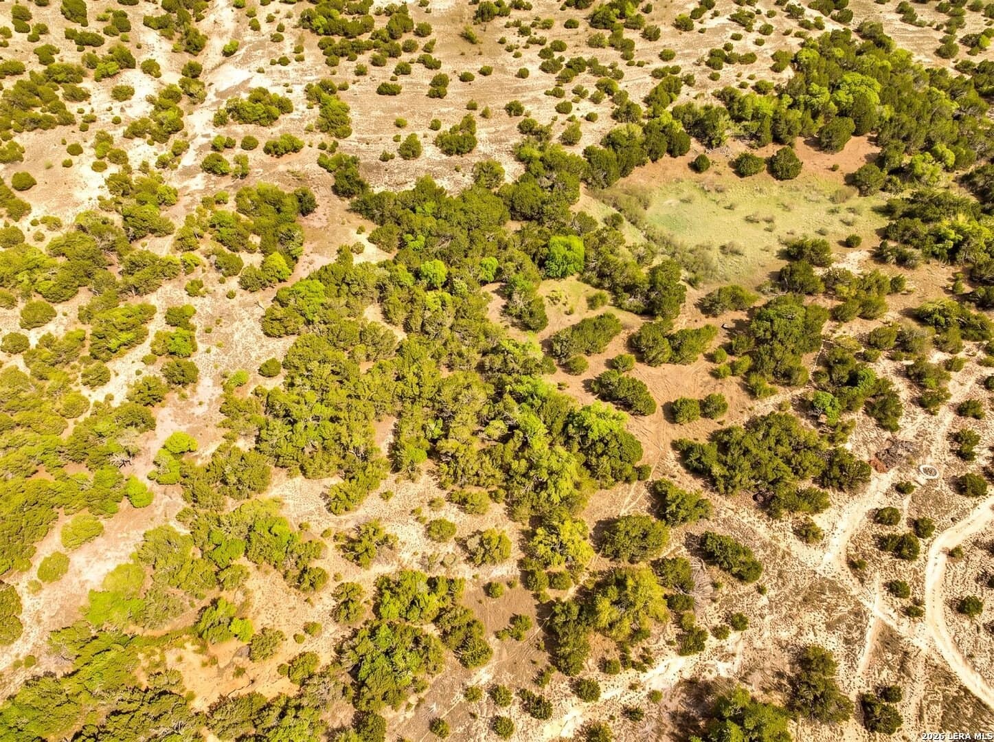 5 acres in Blanco County - photo 18