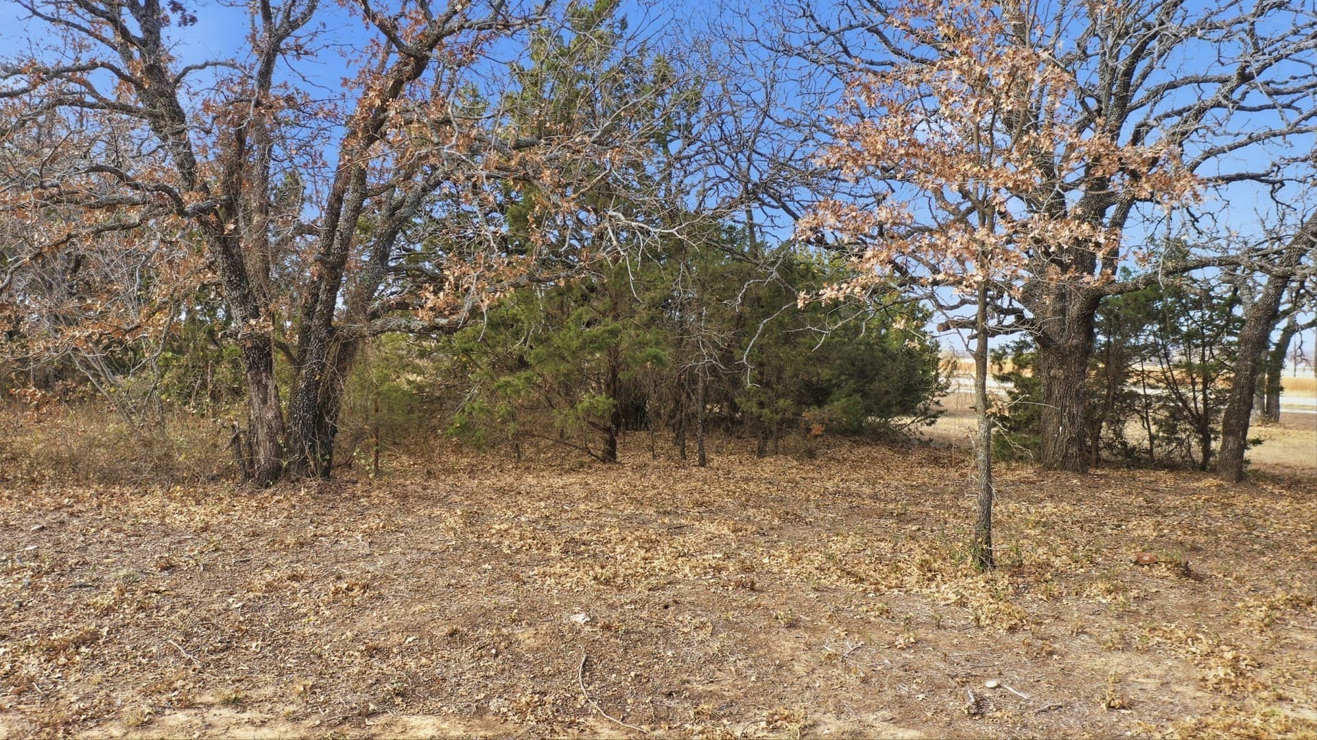 3 acres in Jack County - photo 12