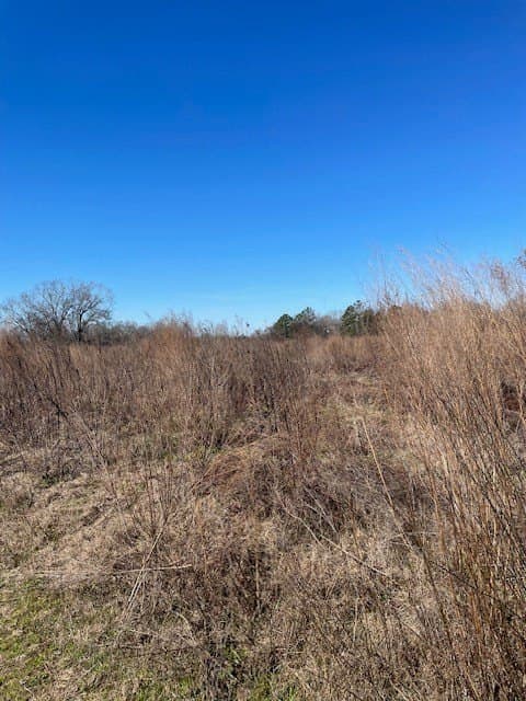 34.18 acres in Texas County - photo 11