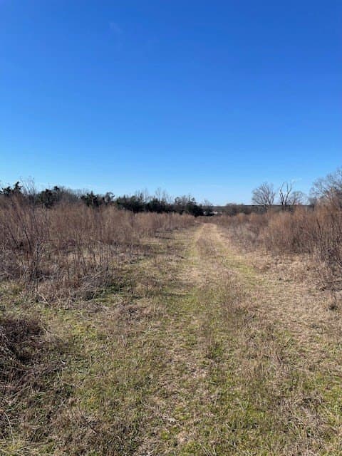 34.18 acres in Texas County - photo 10