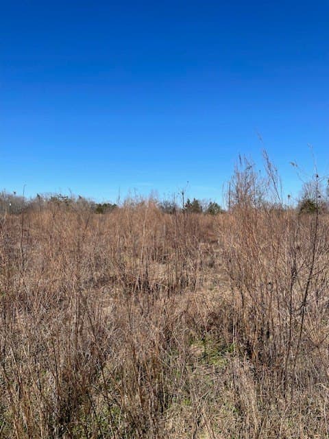 34.18 acres in Texas County - photo 9