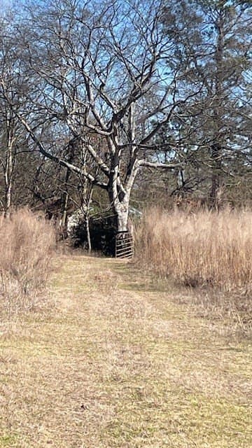 34.18 acres in Texas County - photo 6