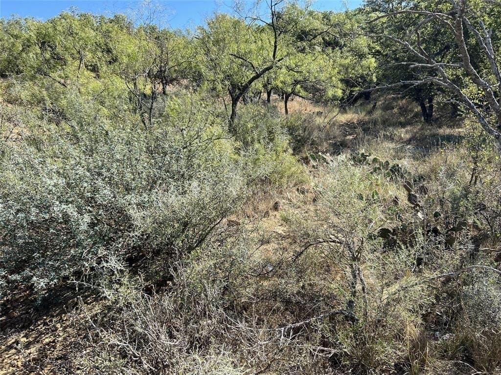 0.34 acres in Brown County gallery image 3