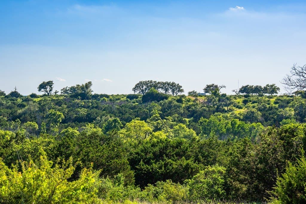 312.01 acres in Gillespie County - photo 29