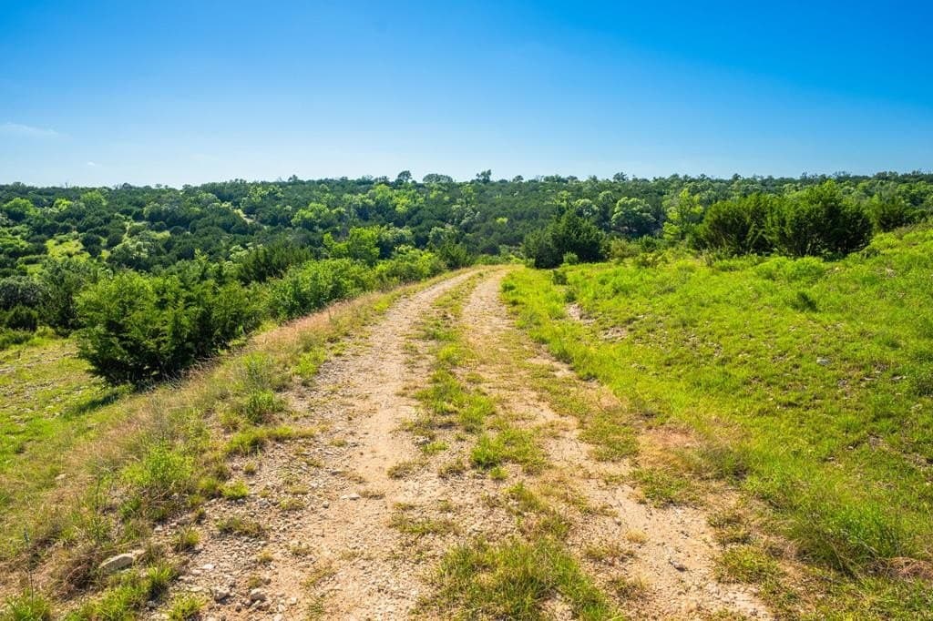 312.01 acres in Gillespie County - photo 30