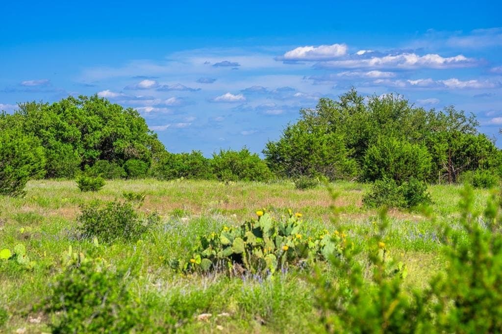 312.01 acres in Gillespie County - photo 36
