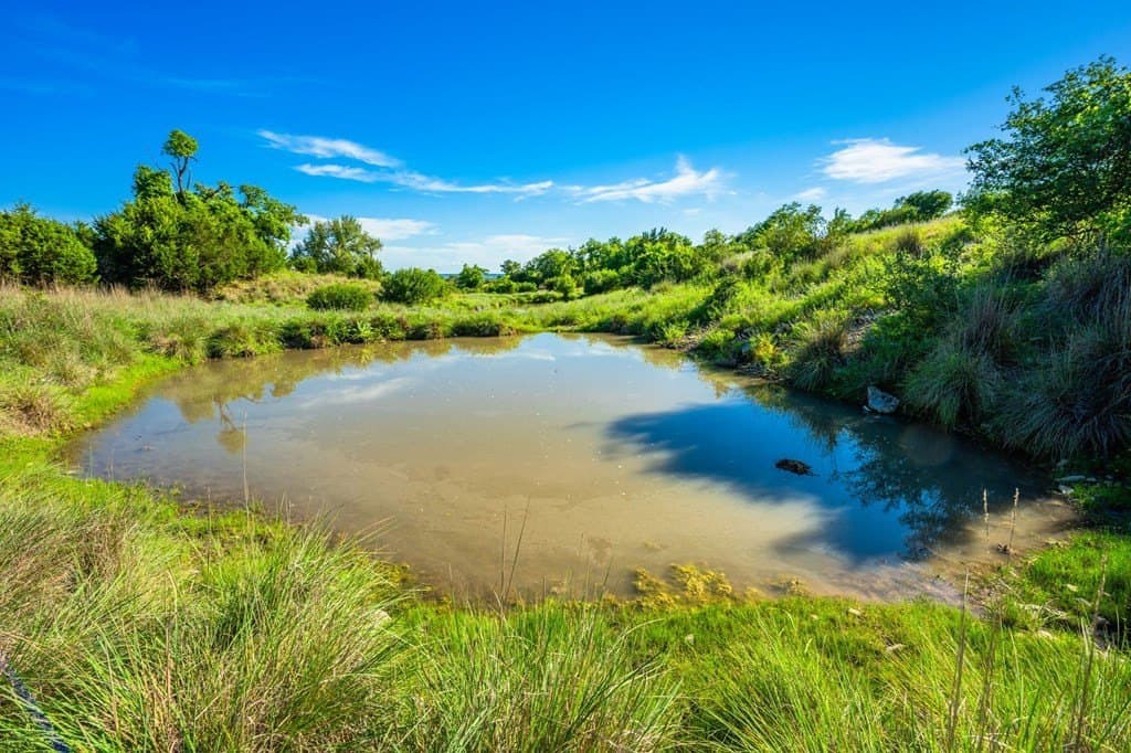 312.01 acres in Gillespie County gallery image 3