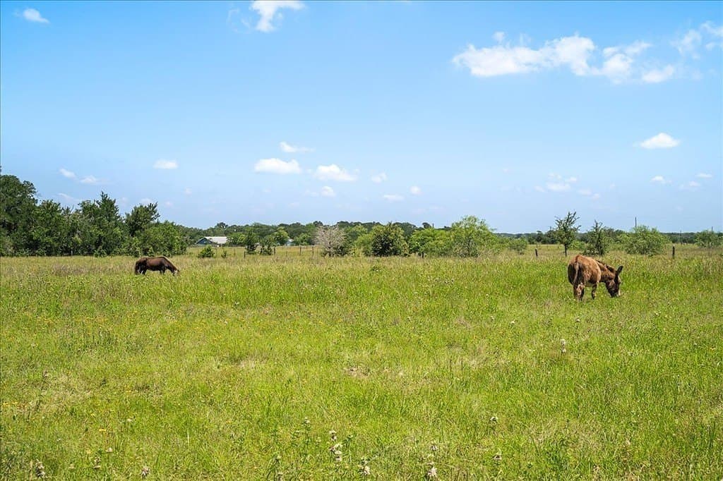 56.6 acres in Fayette County - photo 21