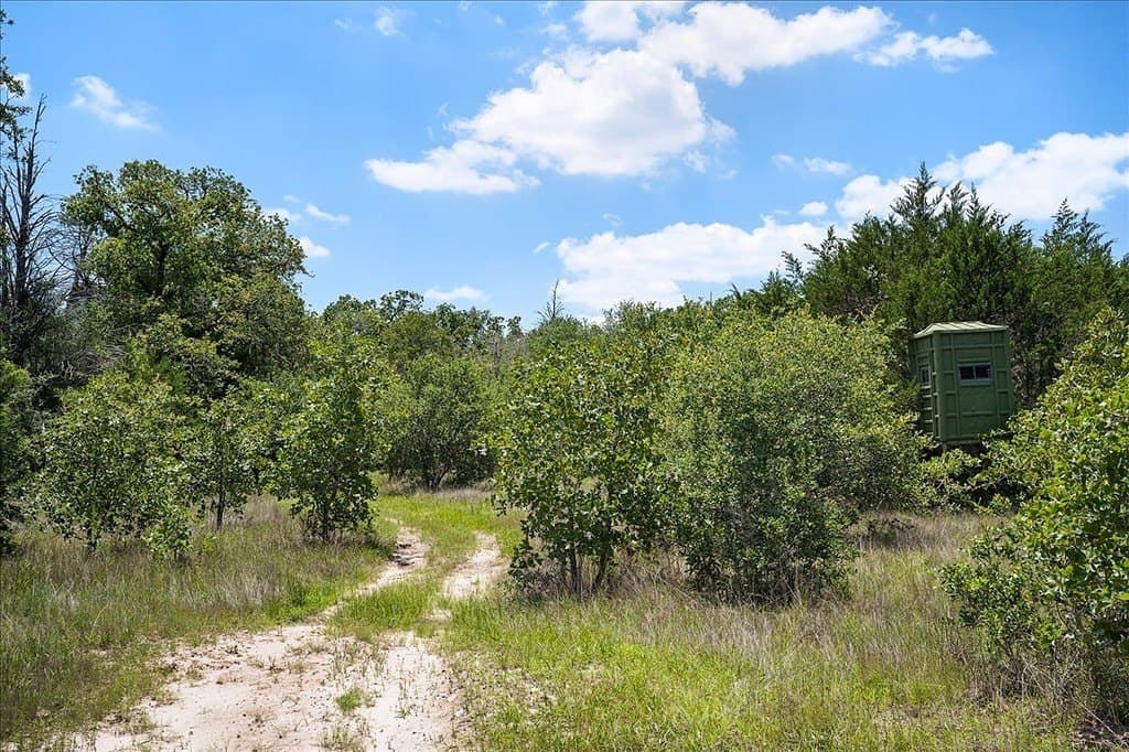 56.6 acres in Fayette County - photo 19