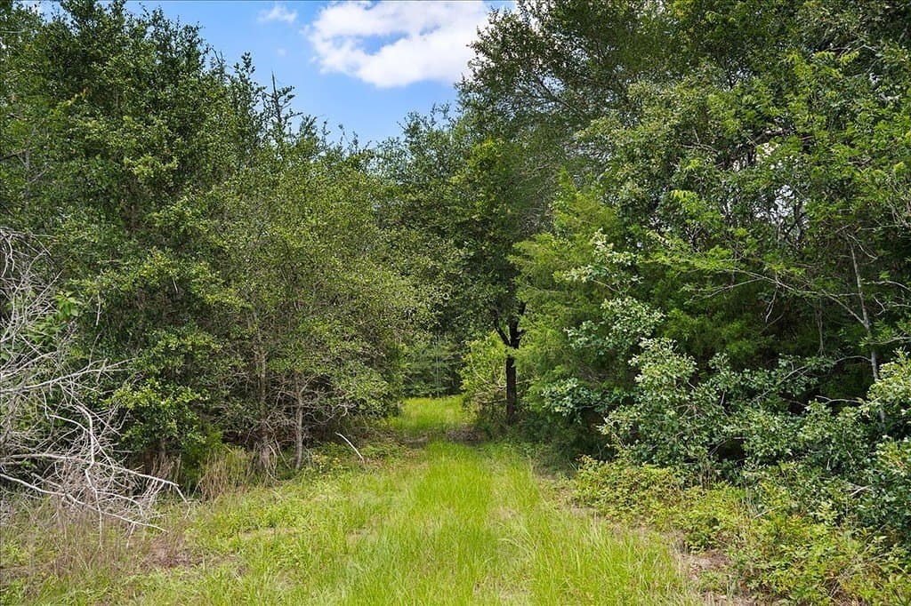 56.6 acres in Fayette County - photo 18