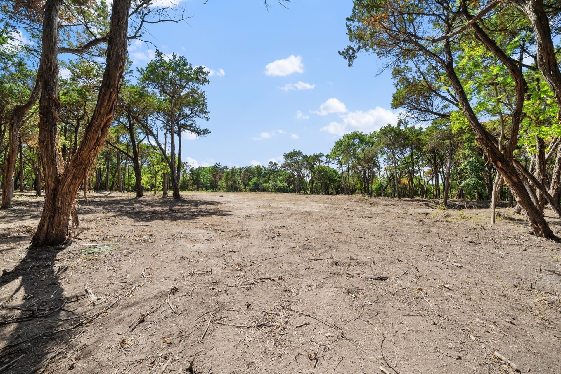 5.28 acres in Dallas County - photo 4