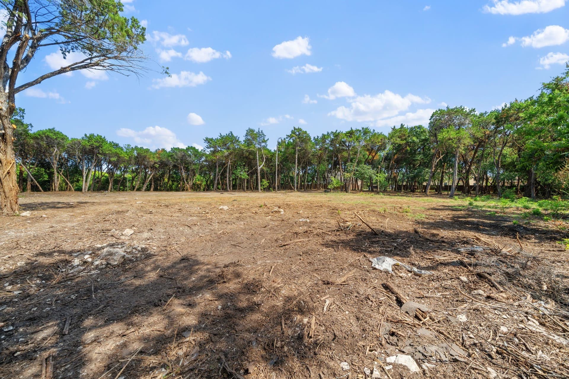 5.28 acres in Dallas County - photo 8