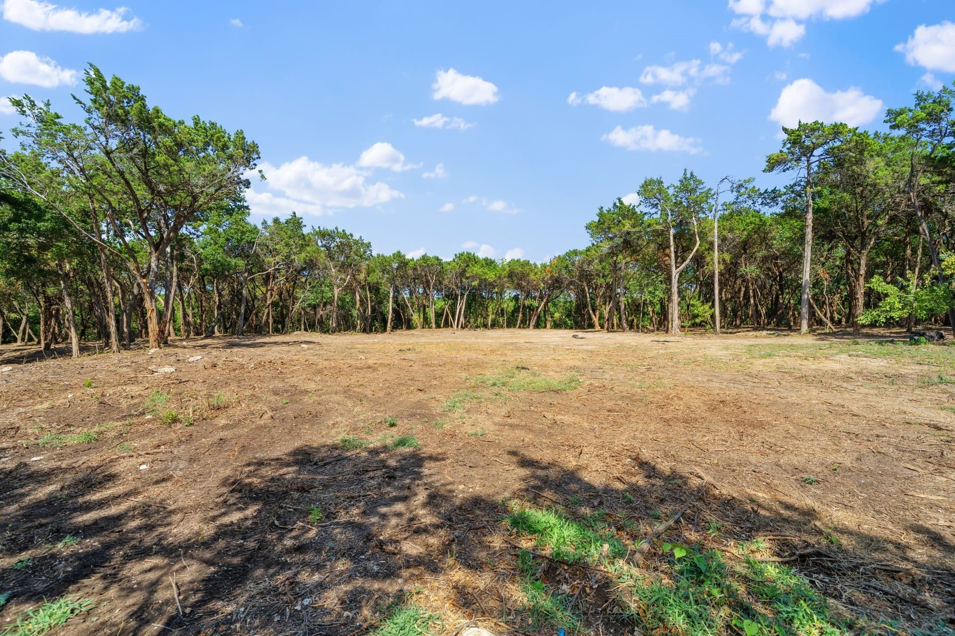 5.28 acres in Dallas County - photo 9