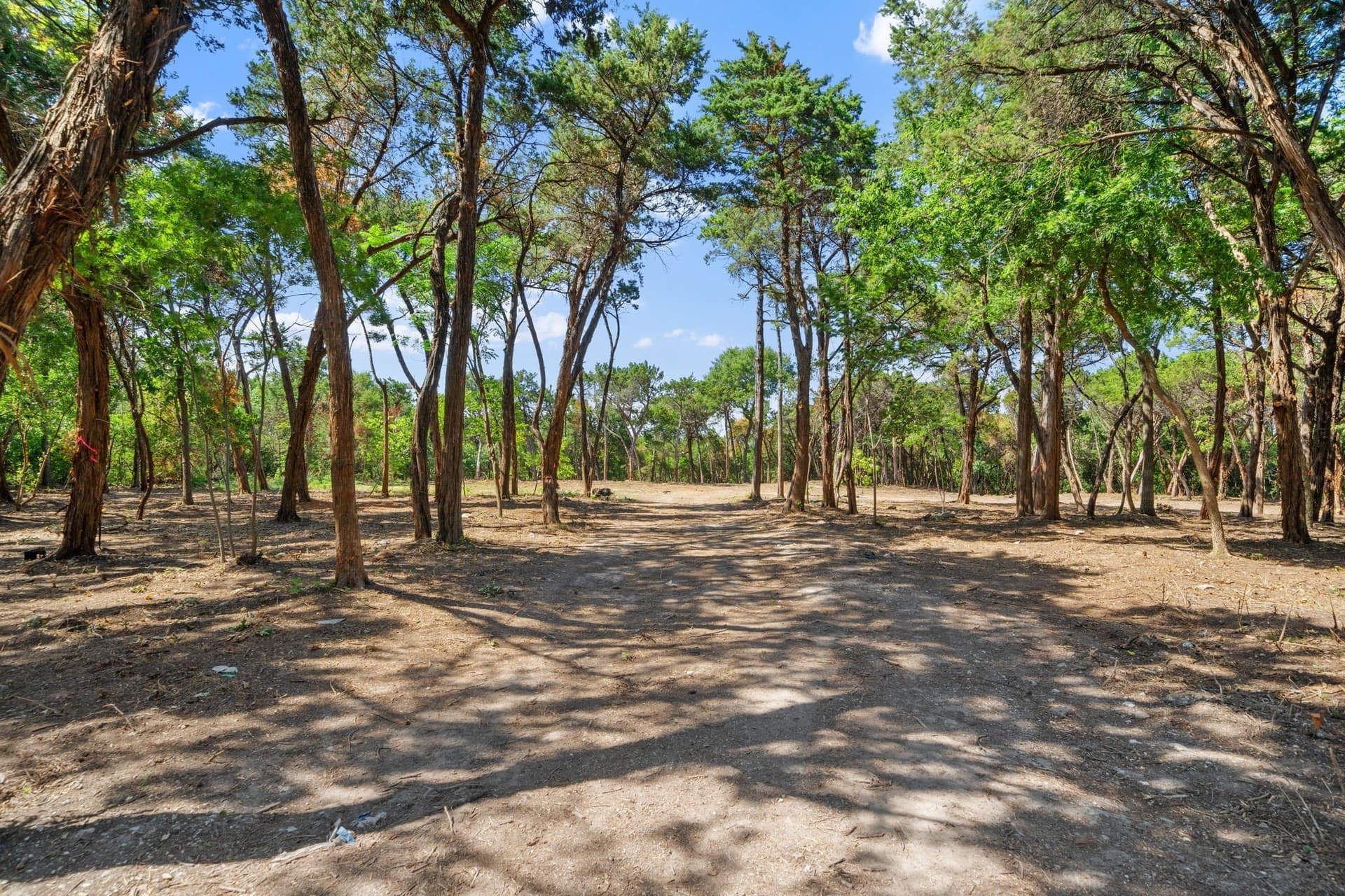 5.28 acres in Dallas County - photo 12