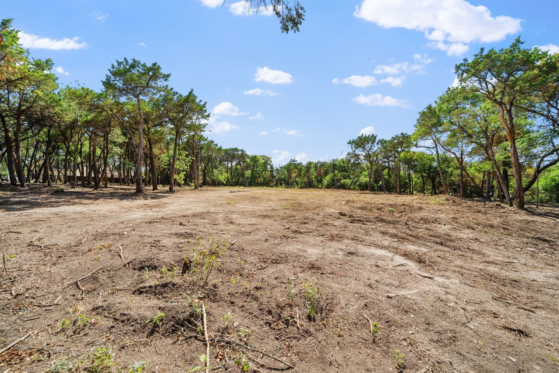 5.28 acres in Dallas County - photo 5