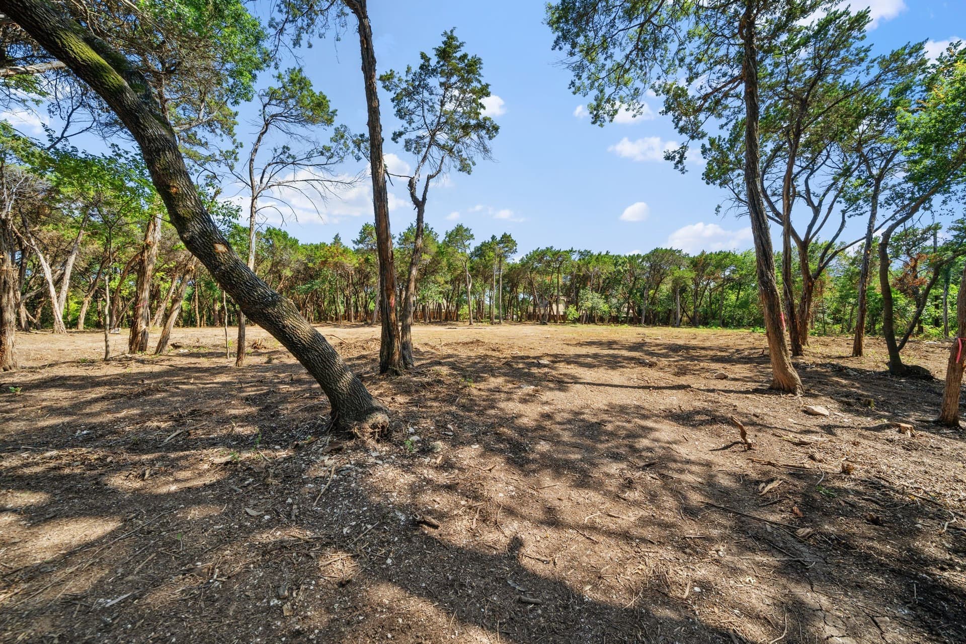 5.28 acres in Dallas County - photo 7