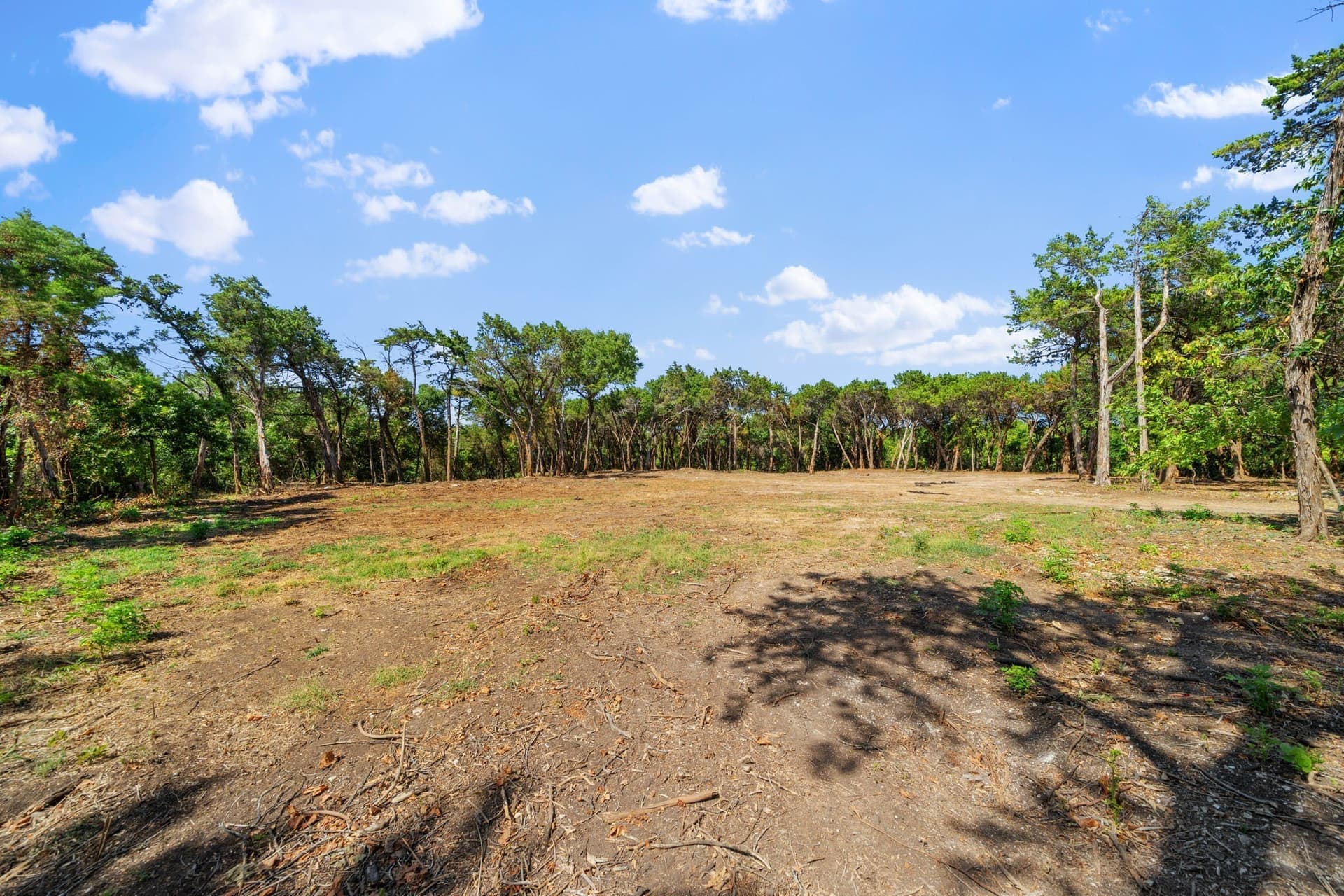 5.28 acres in Dallas County - photo 10