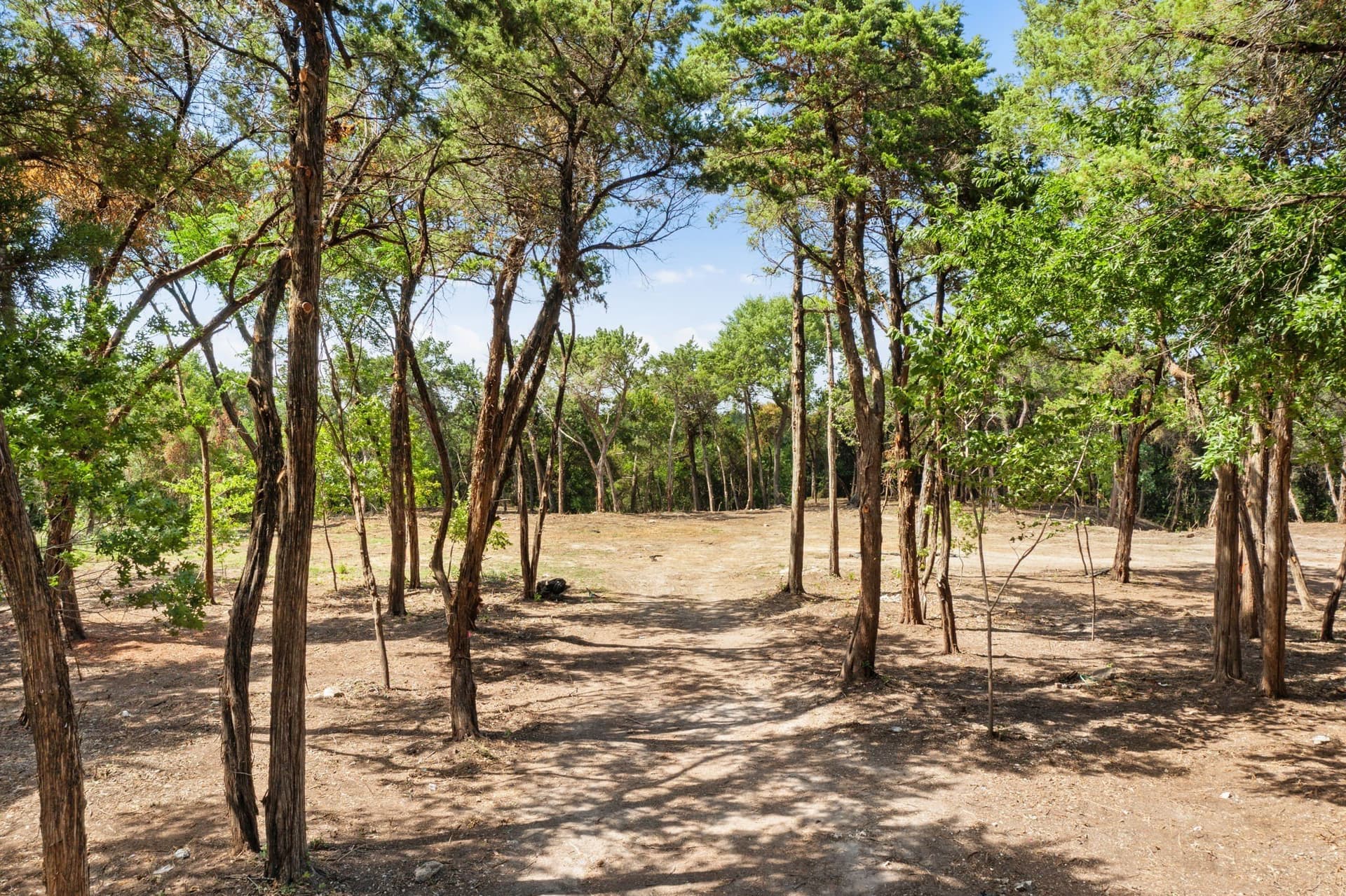 5.28 acres in Dallas County - photo 23