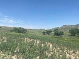18.14 acres in Randall County gallery image 4