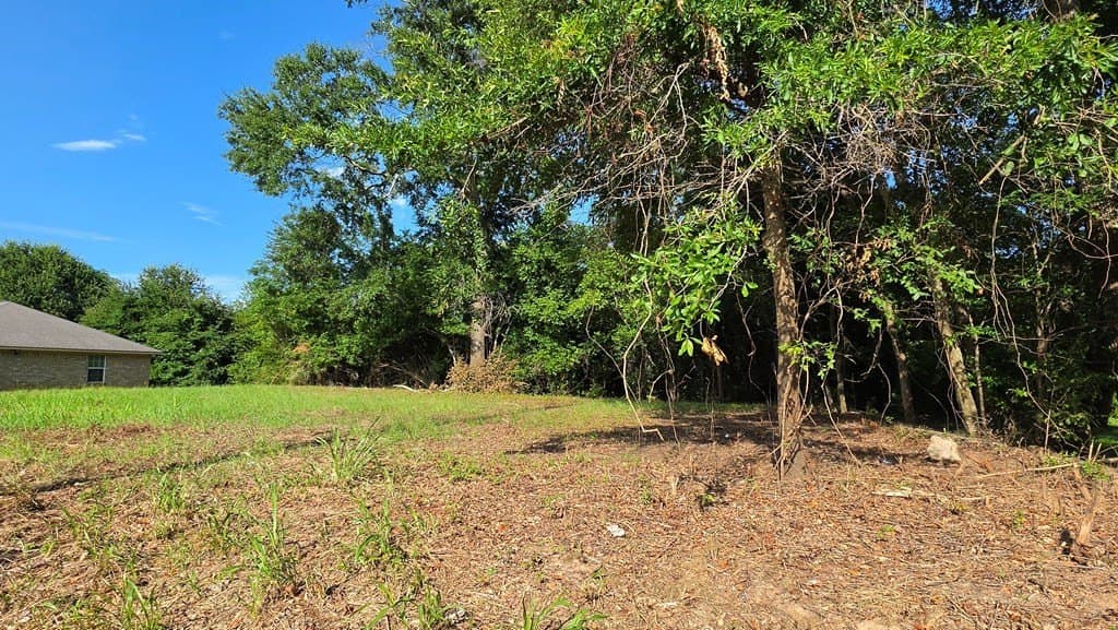 0.74 acres in Texas County gallery image 4
