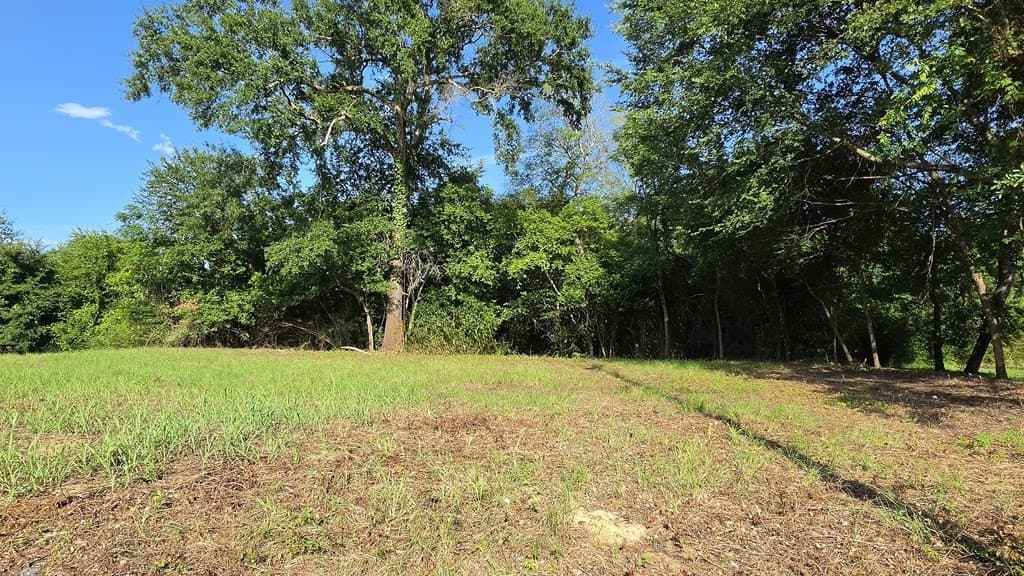 0.74 acres in Texas County gallery image 3