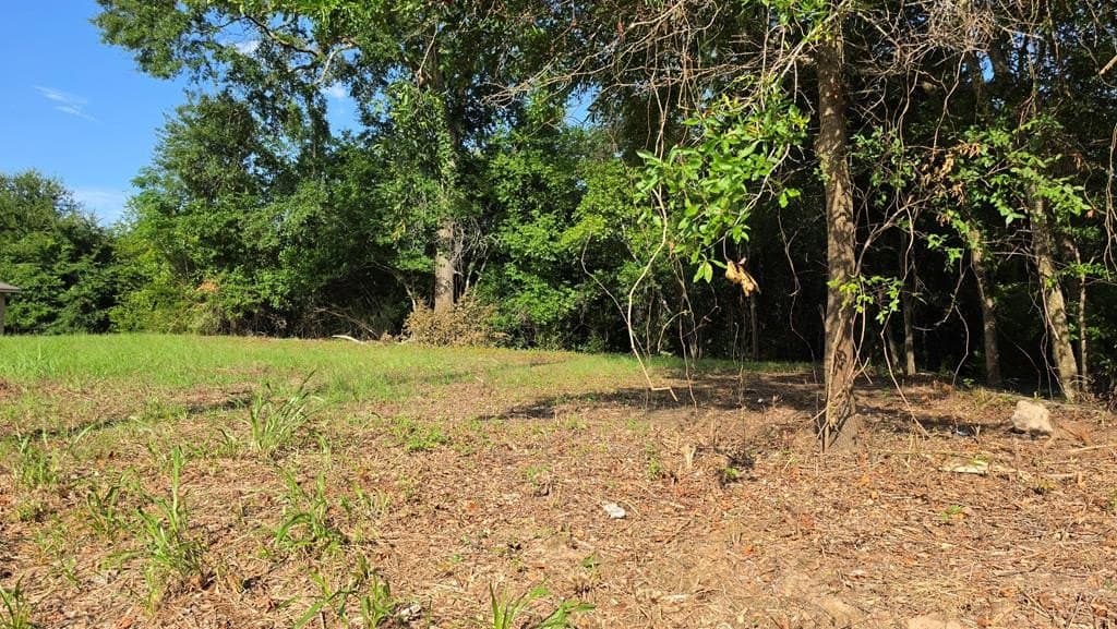 0.74 acres in Texas County gallery image 2