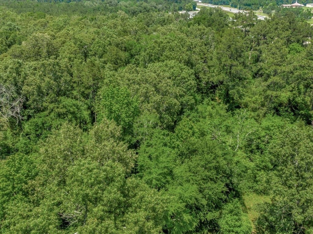 29.94 acres in Angelina County - photo 12
